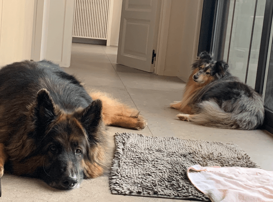 Oppasbuddies Fabi en Quito