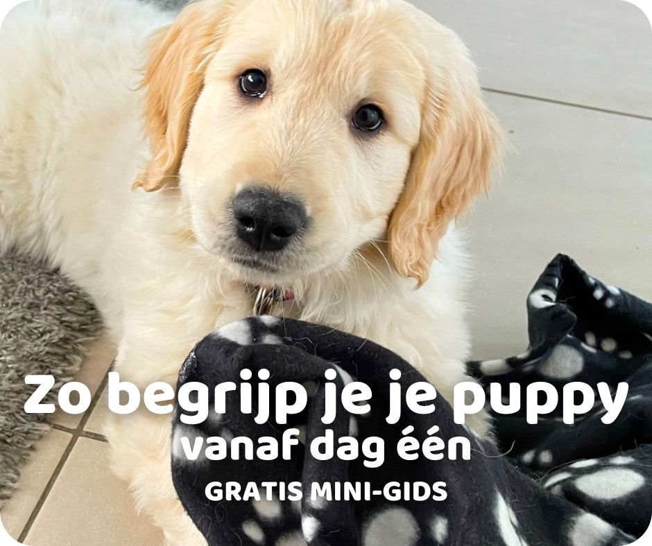 Vraag 'm hier aan!