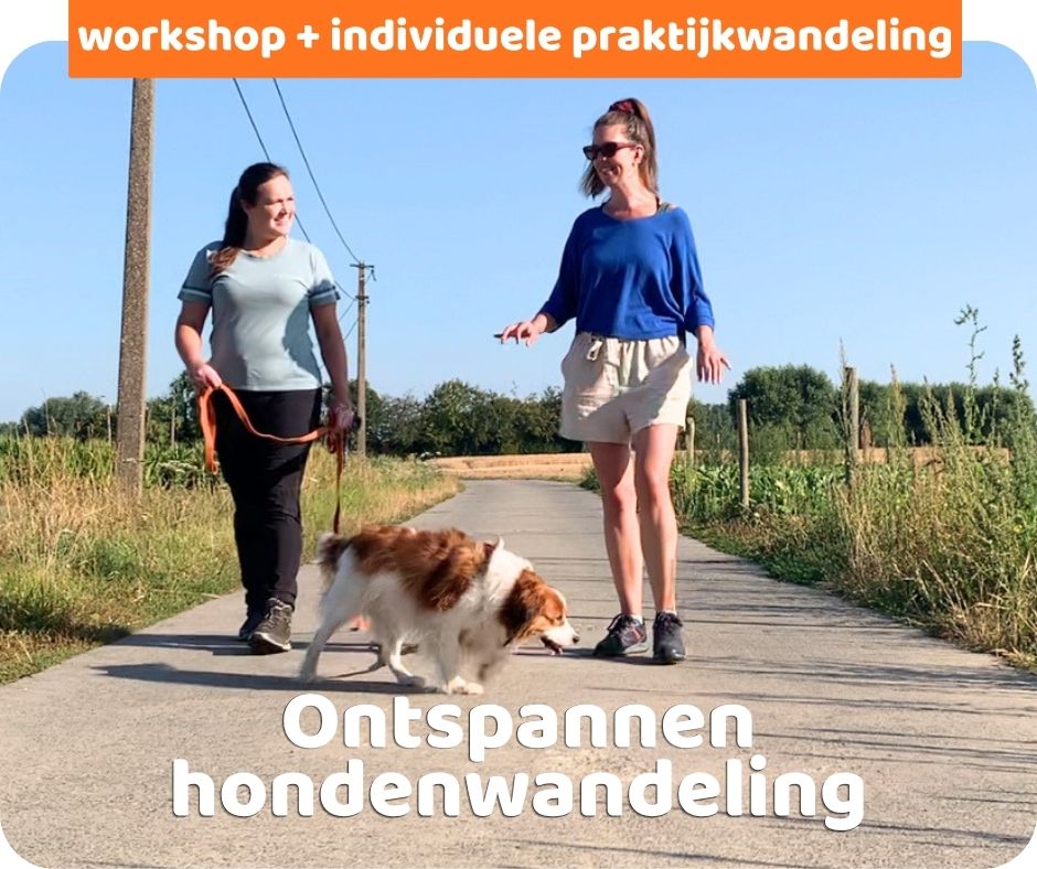 klik op de afbeelding voor meer informatie