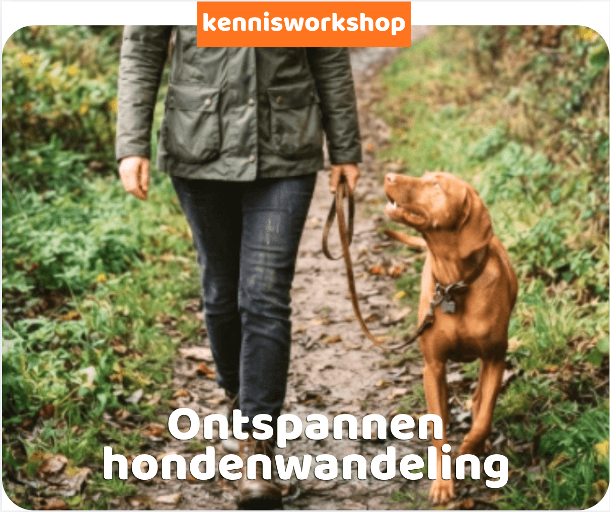 6 oktober - 19 november - 1 december - 17 december